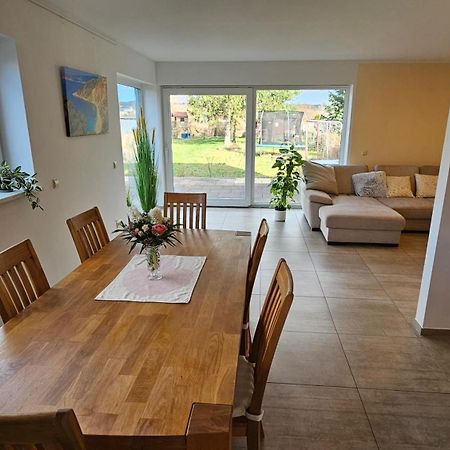 Sehr Schoenes Und Grosses Haus In Dresden - Partys Und Andere Feierlichkeiten Sind Wegen Eventueller Laermbelaestigung Nicht Gestattet 外观 照片